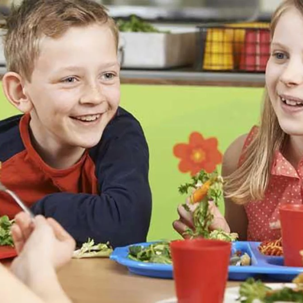 Alergias e intolerancias alimentarias en&hellip;