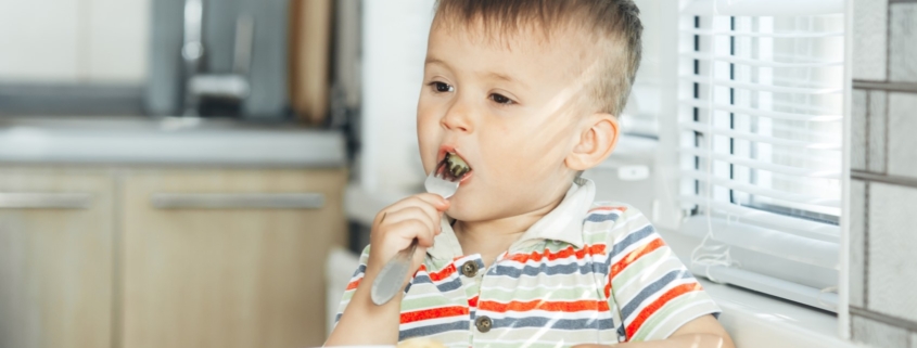 Baby Led Weaning - BLW - Nutrición - 🥄 7 VENTAJAS DE USAR CUCHARAS DE  APRENDIZAJE 🥄 ❓ ¿Qué es una cuchara de aprendizaje? ❓ Introducir los  cubiertos de aprendizaje de forma