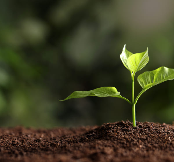 Eurest, en el I Congreso&hellip;