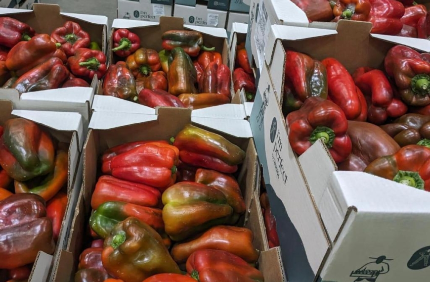 Un millón de kilos de verdura de La Unión llegarán a los comedores de Compass Group España en su lucha contra el desperdicio alimentario 